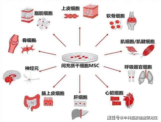 帕金森最新研究進(jìn)展與治療方法