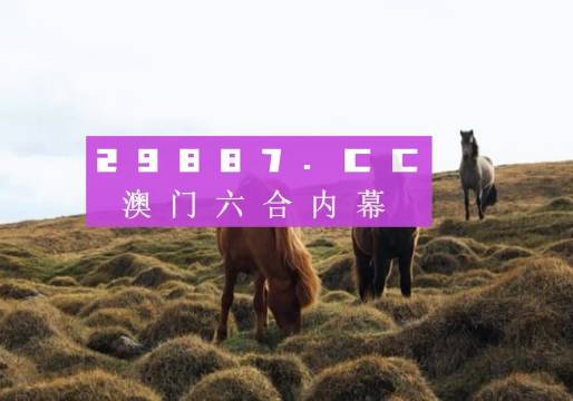 澳門最新開獎(jiǎng)記錄，探索與解讀