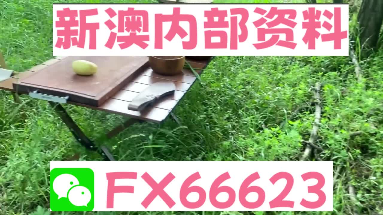 新澳天天開獎資料大全旅游攻略