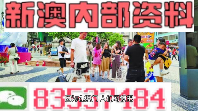 關(guān)于新澳2024正版免費(fèi)資料的探討，一個關(guān)于犯罪與違法的思考