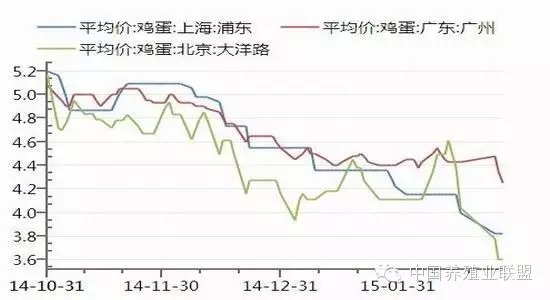 今日雞蛋最新價格，市場走勢、影響因素及未來趨勢分析