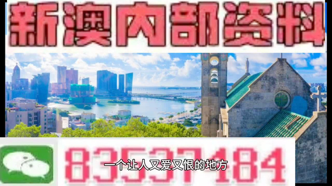 新2024澳門兔費資料，探索澳門未來的機遇與挑戰(zhàn)