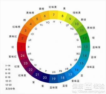 澳門天天彩期期精準單雙波色——揭示背后的真相與風險