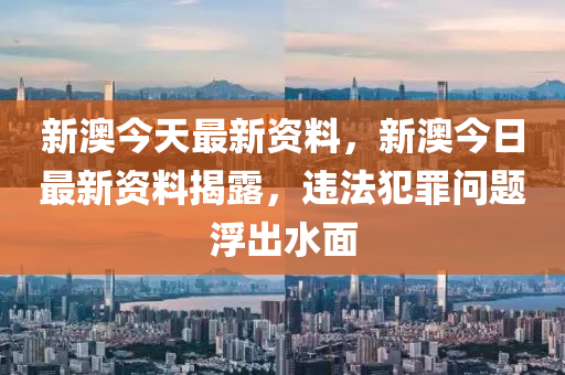 關(guān)于新澳精準(zhǔn)正版資料的探討與警示——警惕違法犯罪風(fēng)險