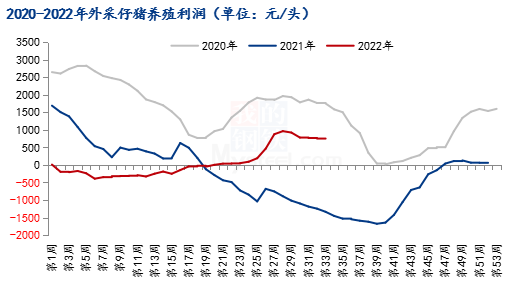 湖北宜昌最新豬價動態(tài)分析