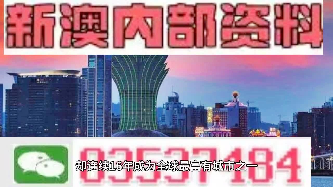 新澳門資料大全正版資料2024，探索與解讀