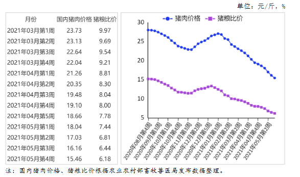 最新豬價預測，趨勢分析與展望