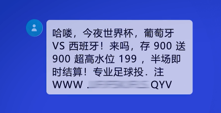 警惕虛假彩票網(wǎng)站，切勿涉及違法犯罪行為——以新澳門正版資料免費(fèi)大全和福彩公益網(wǎng)為例