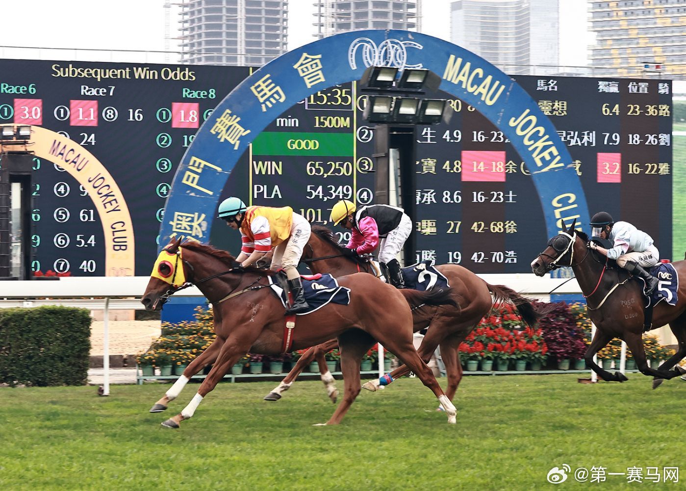 香港賽馬資料更新的速度與準確性，行業(yè)領先的參考指南