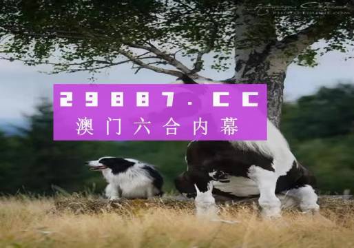 澳門(mén)跑狗圖免費(fèi)正版圖2024年,澳門(mén)跑狗圖免費(fèi)正版圖2024年，探索與期待