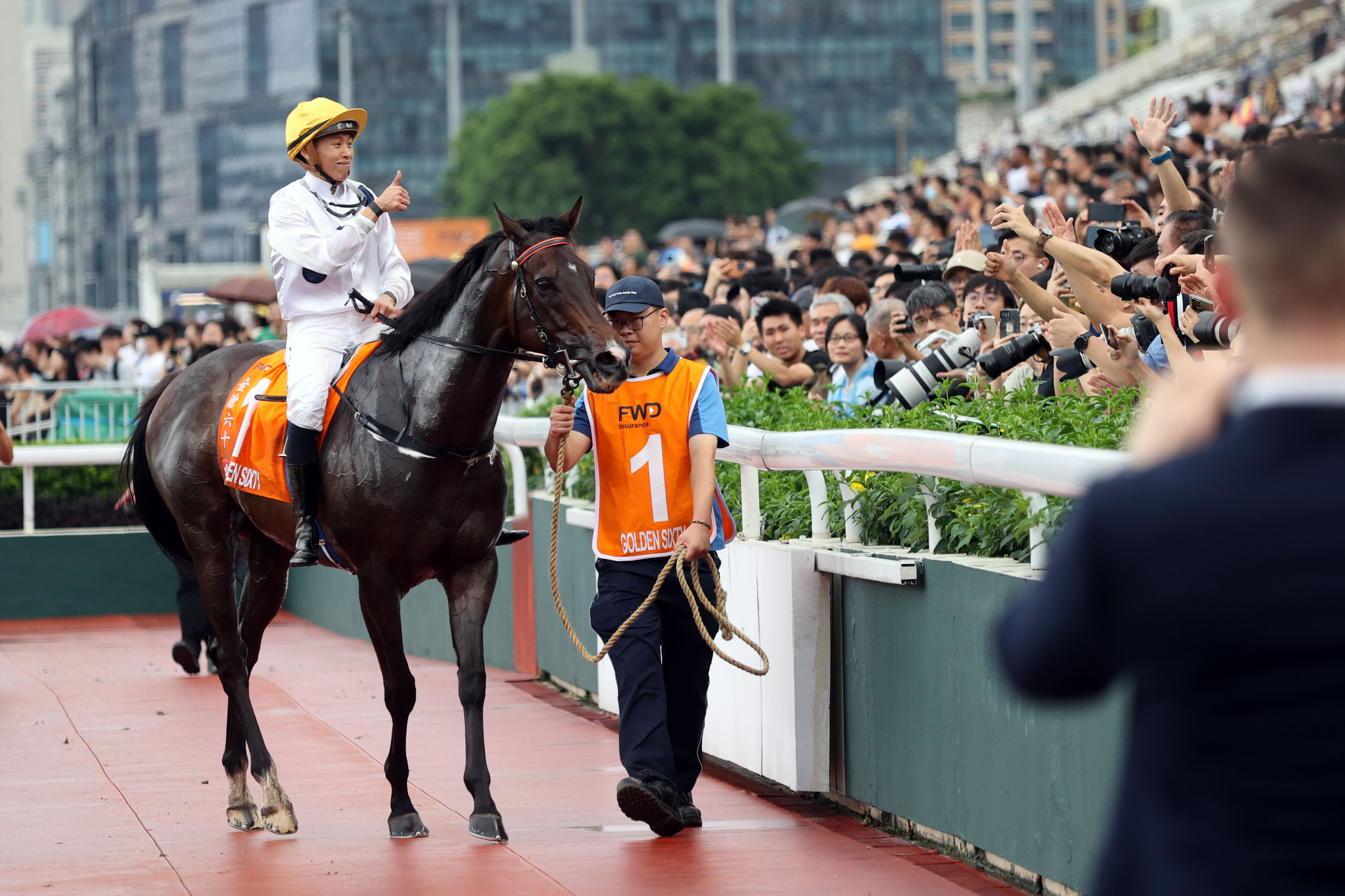 2024香港賽馬全年免費資料,探索香港賽馬，2024全年免費資料指南