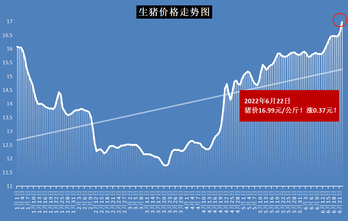 河南最新豬價(jià),河南最新豬價(jià)動(dòng)態(tài)分析