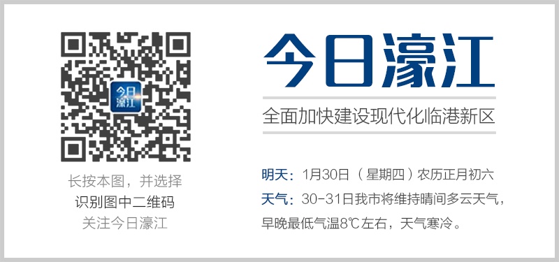 22324濠江論壇一肖一碼,探索濠江論壇，一肖一碼的魅力與影響