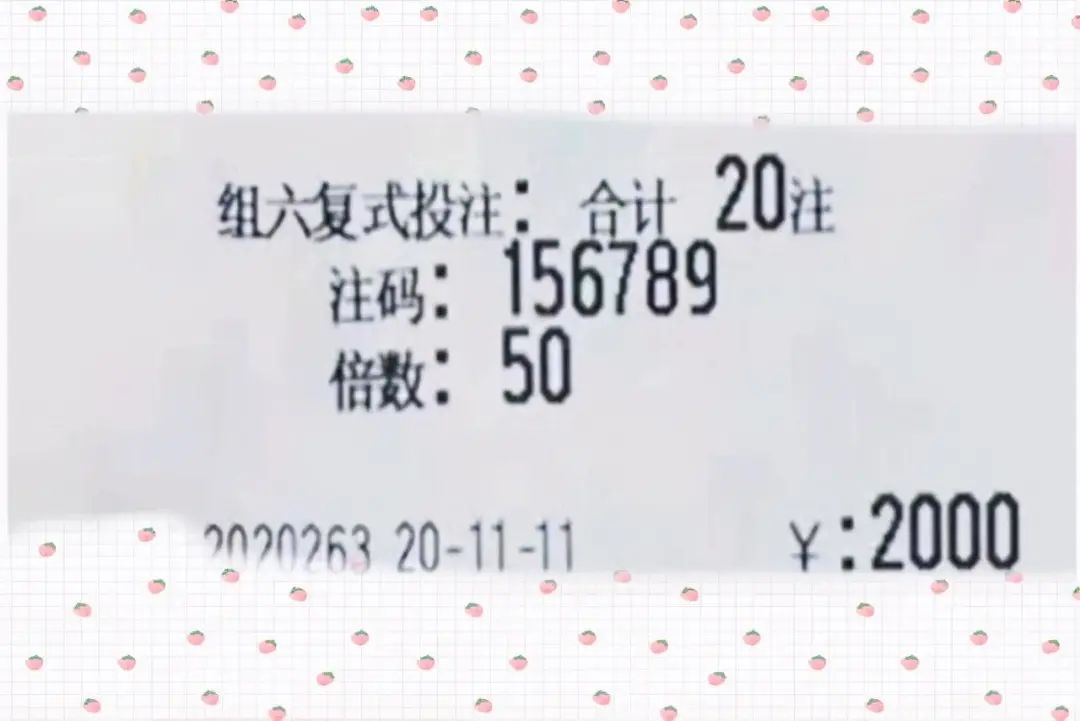 澳門六開獎結(jié)果2024開獎今晚,澳門六開獎結(jié)果2024年今晚開獎，探索彩票背后的故事與期待