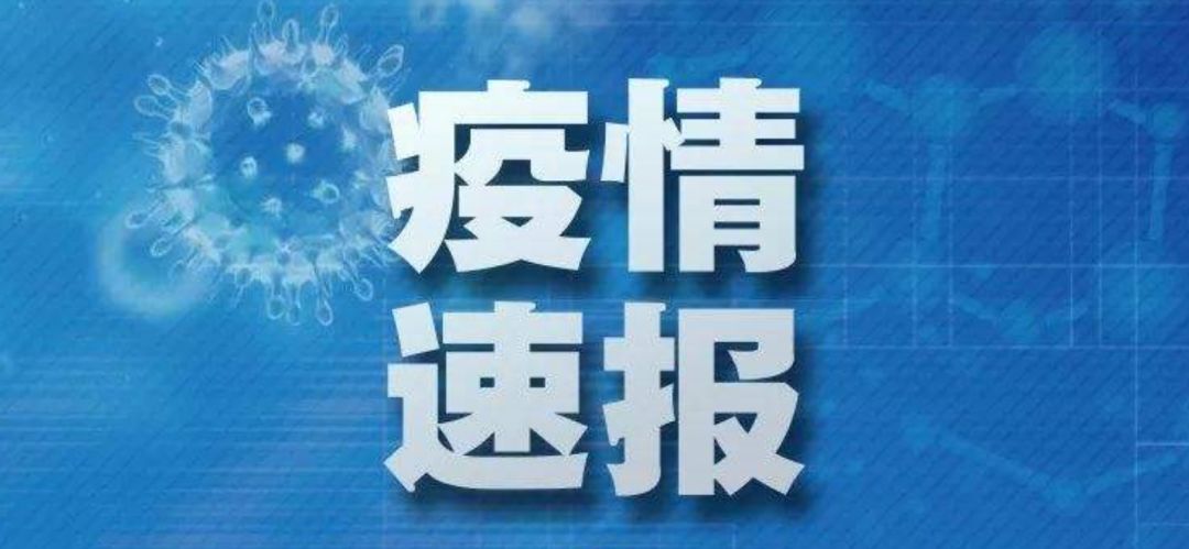 舟山最新疫情,舟山最新疫情動態(tài)分析