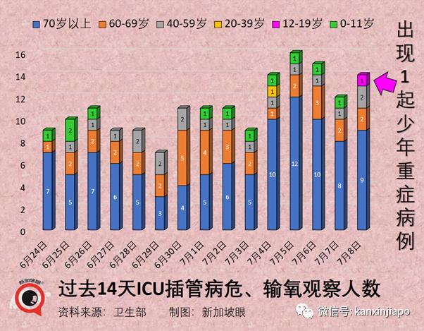 新加坡入境最新,新加坡入境最新政策與規(guī)定，全面解讀與實(shí)用指南