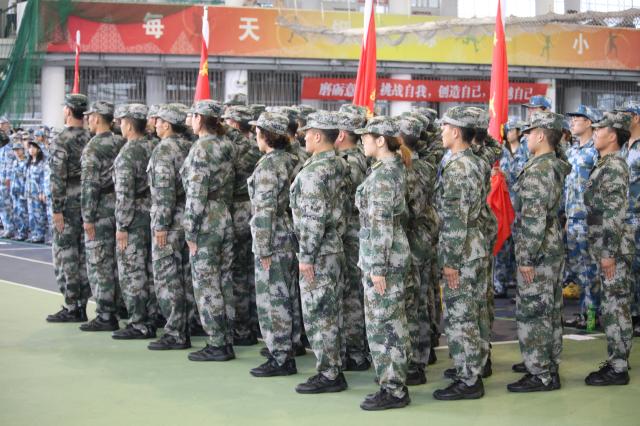 越軍最新迷彩,越軍最新迷彩，探索現代化軍事迷彩技術的革新之路