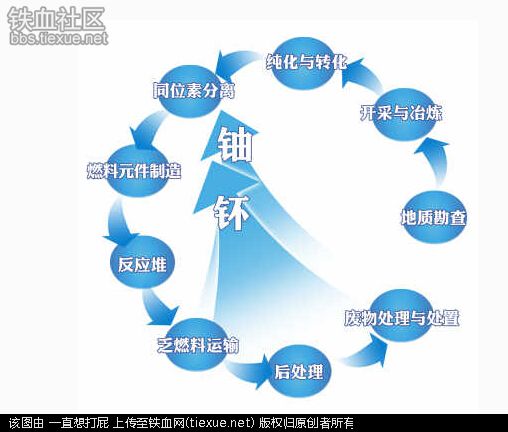 最新疫情發(fā)現(xiàn),最新疫情發(fā)現(xiàn)，全球科研合作與應(yīng)對(duì)策略的深化