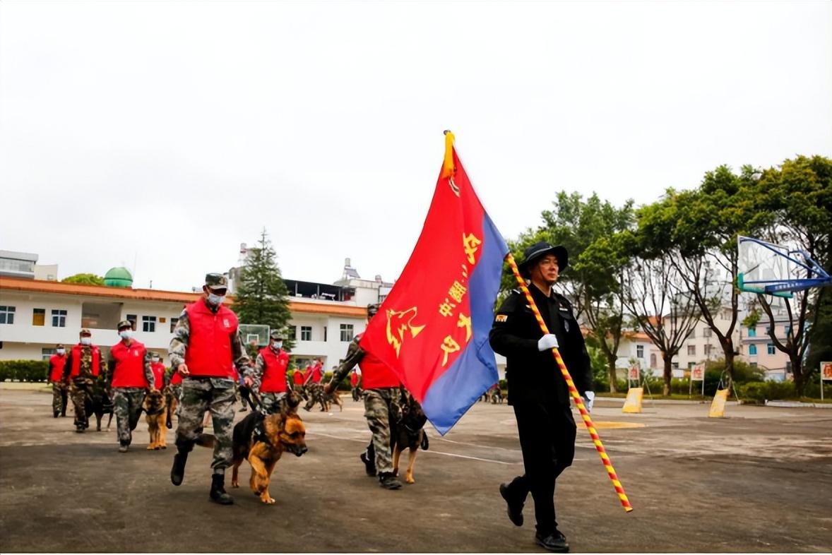 最新的警犬,最新的警犬，科技融合保護的力量