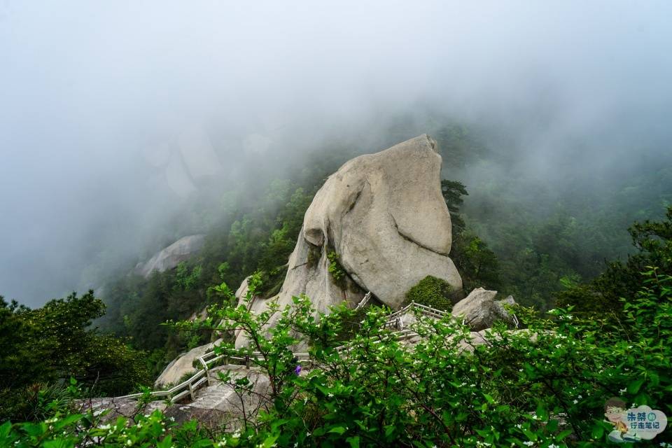 黃山最新動態(tài),黃山最新動態(tài)，揭秘自然奇觀與人文融合的新篇章