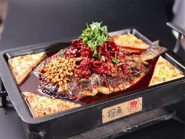 最新烤魚歌,最新烤魚歌，美食與音樂的完美結合