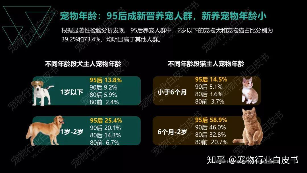 寵物之道最新,寵物之道最新趨勢與深度洞察